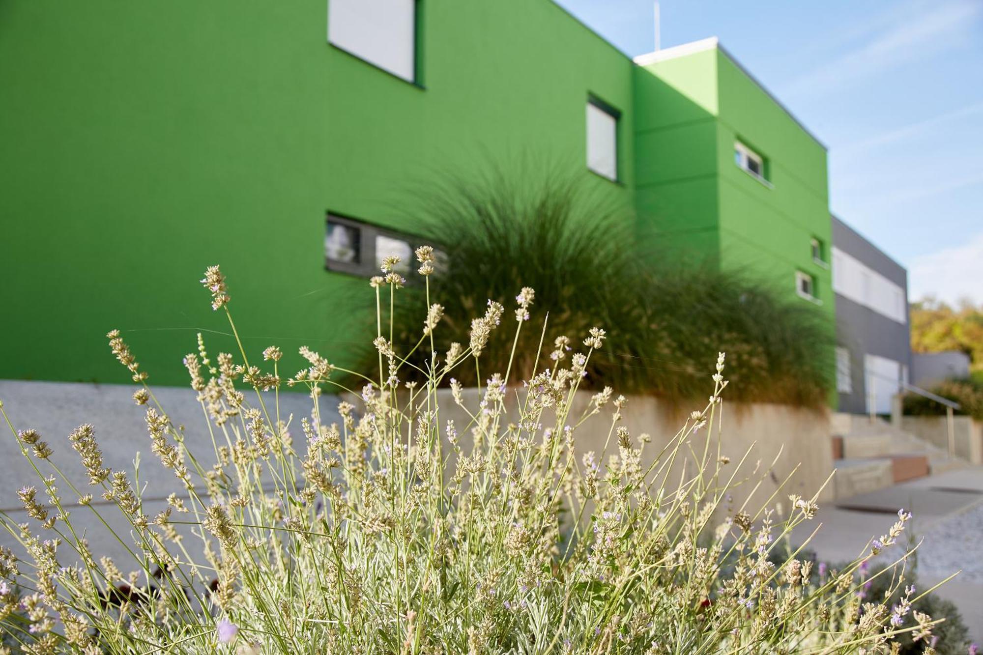 Good Rooms GmbH Guntramsdorf Exterior foto