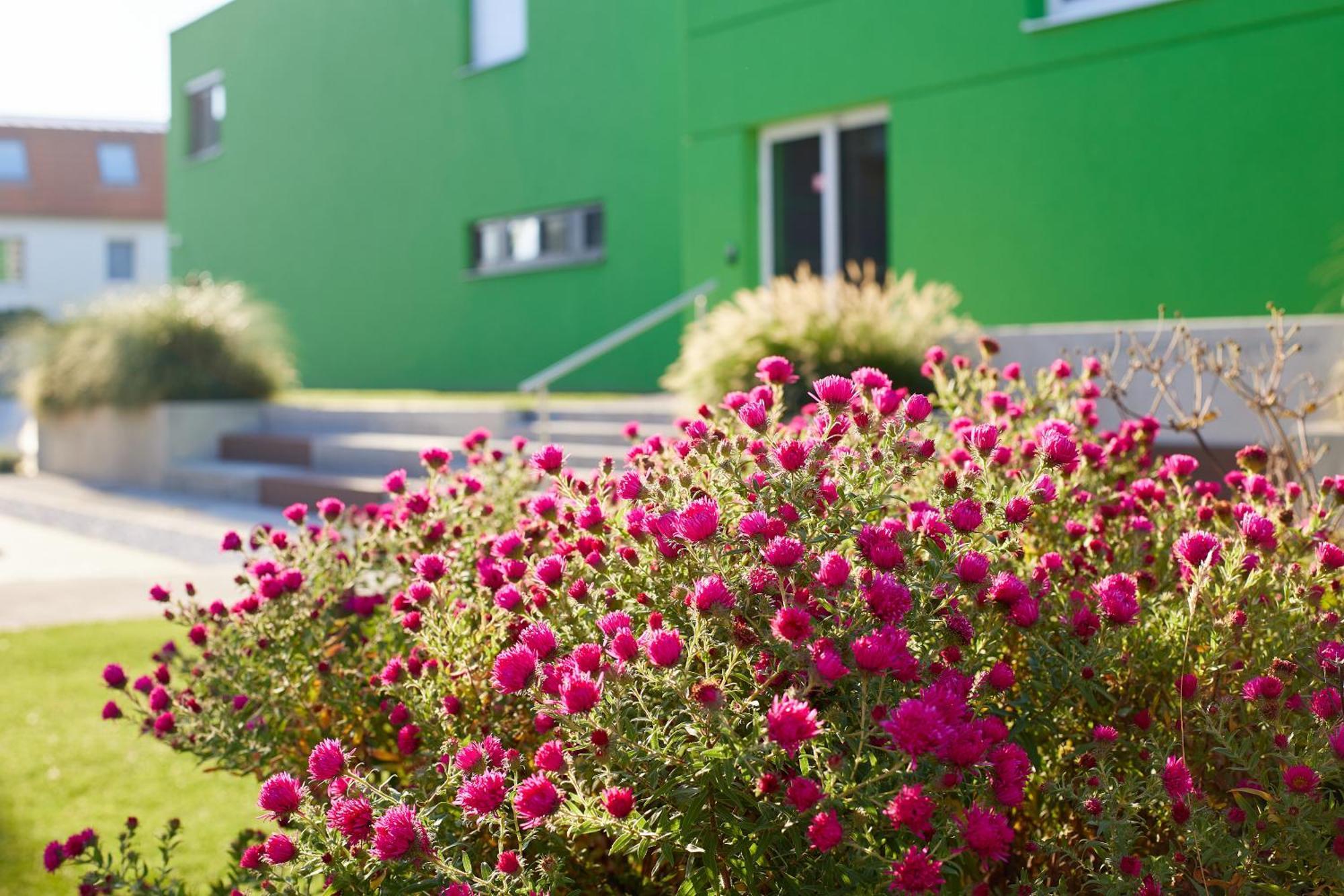 Good Rooms GmbH Guntramsdorf Exterior foto